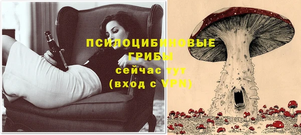 стаф Балабаново