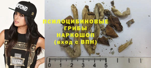 Альфа ПВП Баксан