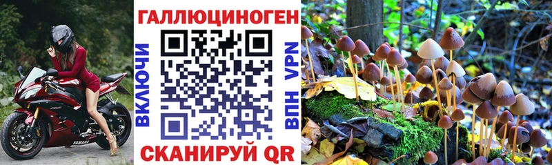 Псилоцибиновые грибы прущие грибы  Баксан 